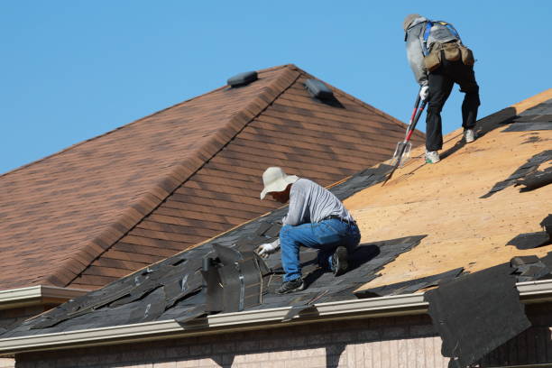 Best Asphalt Shingle Roofing  in Simpson, PA